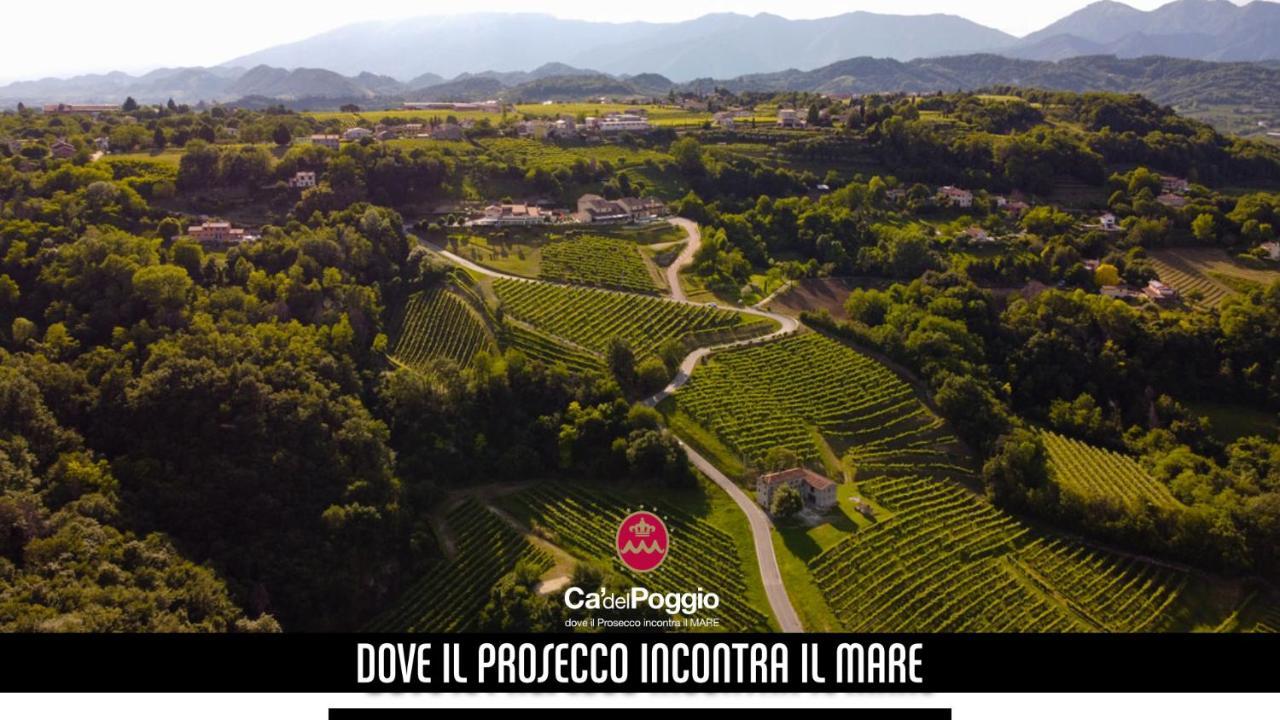 Villa Del Poggio Prosecco Bike Hotel San Pietro Di Feletto Exteriér fotografie