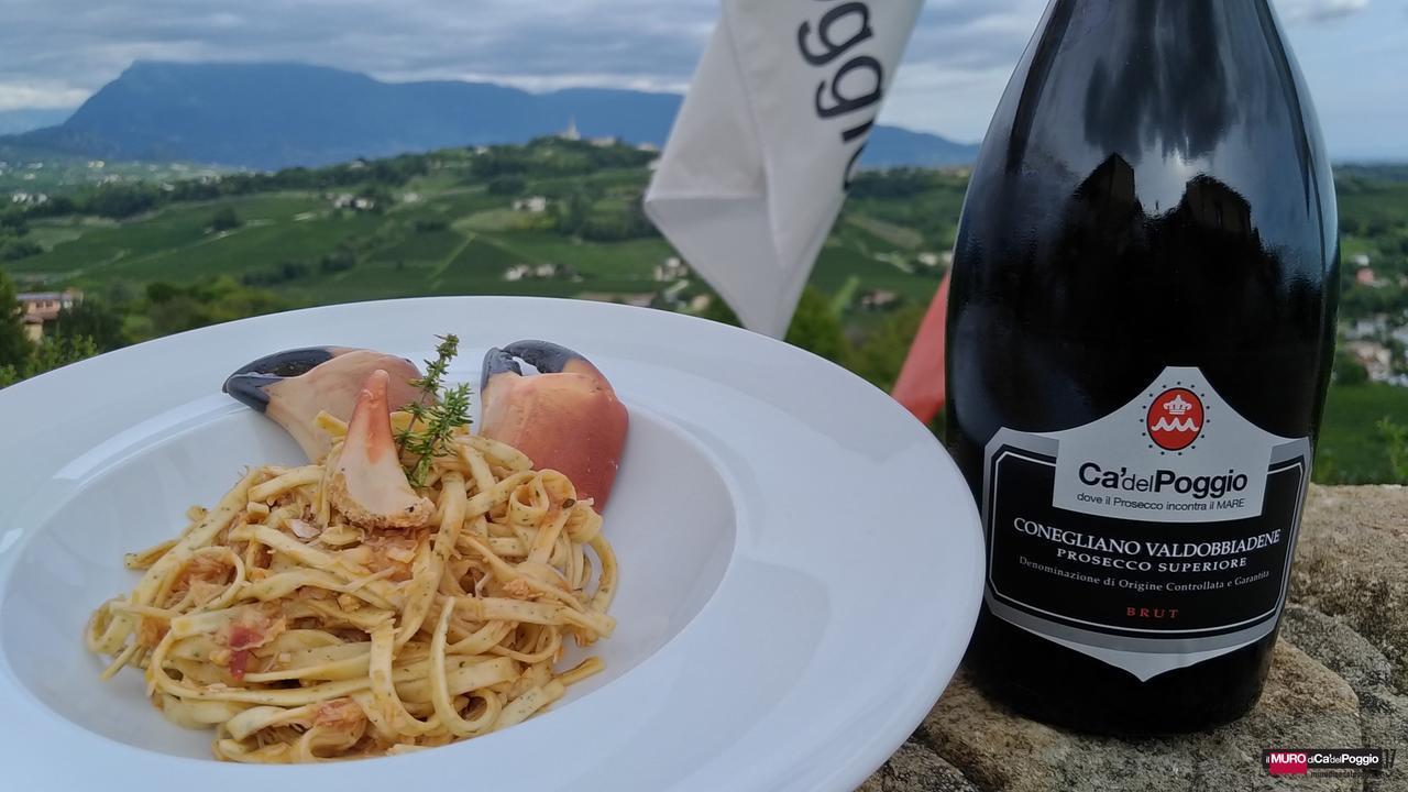 Villa Del Poggio Prosecco Bike Hotel San Pietro Di Feletto Exteriér fotografie