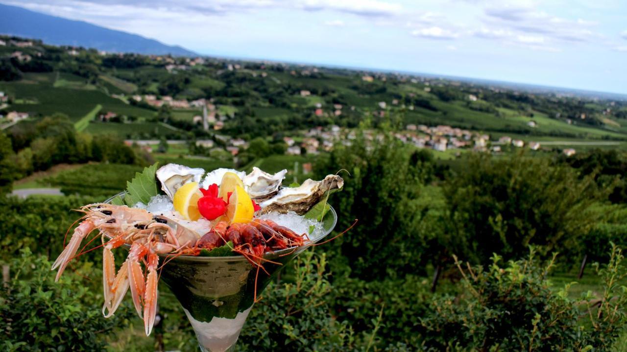 Villa Del Poggio Prosecco Bike Hotel San Pietro Di Feletto Exteriér fotografie